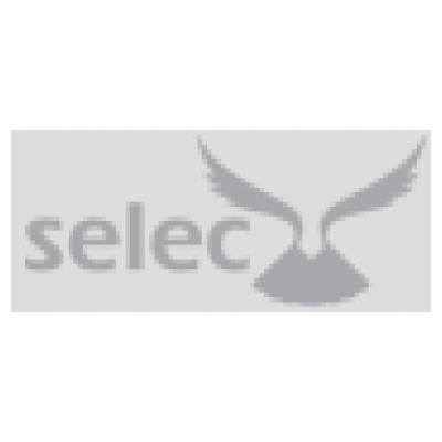 Selec Systems Limited
